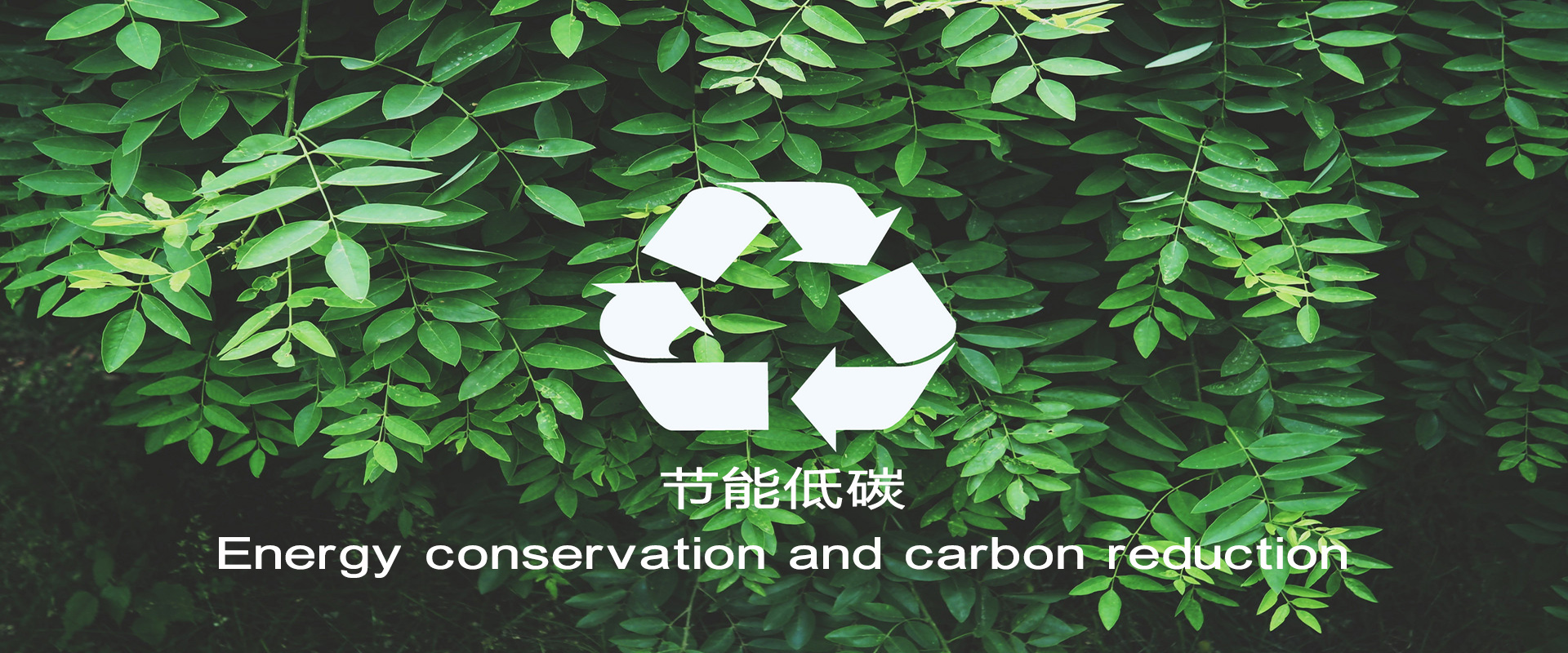 AG��˾(�й���)�����޹�˾����